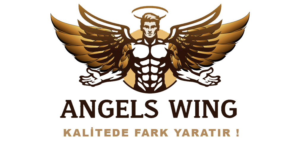 IMG-LOGO